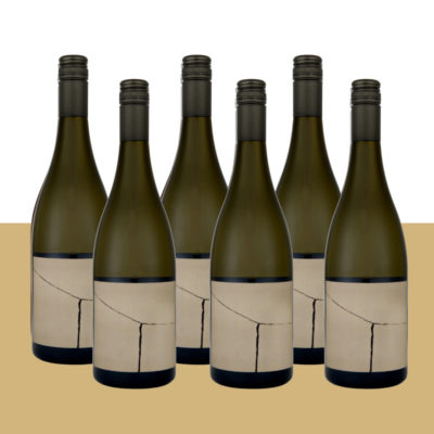 NOC SV Chard -pack